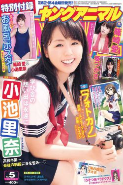 盟军敢死队4中文版